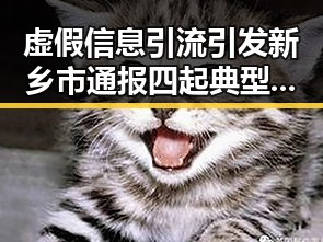 虚假信息引流引发新乡市通报四起典型案例娱乐圈男明星的吃瓜盛宴成反思热点
