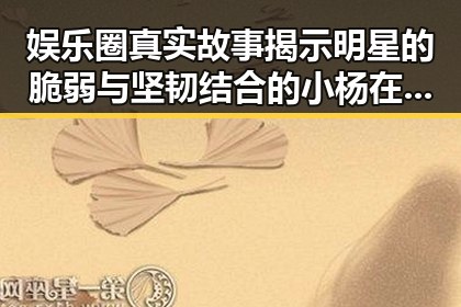 娱乐圈真实故事揭示明星的脆弱与坚韧结合的小杨在拍摄一部背后的小故事