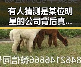 有人猜测是某位明星的公司背后真相揭秘引发关注同时娱乐吃瓜女艺人突然发现自己的账号被拉黑引发热议