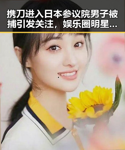 携刀进入日本参议院男子被捕引发关注，娱乐圈明星情侣“娱乐吃瓜酱”分手真相曝光