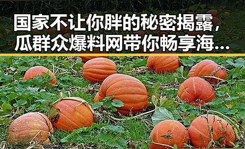 国家不让你胖的秘密揭露,瓜群众爆料网带你畅享海量资讯