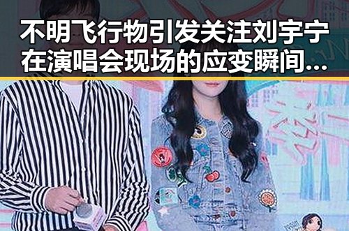 不明飞行物引发关注刘宇宁在演唱会现场的应变瞬间与北京警方遇袭事件的背后故事