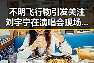 不明飞行物引发关注刘宇宁在演唱会现场的应变瞬间与北京警方遇袭事件的背后故事