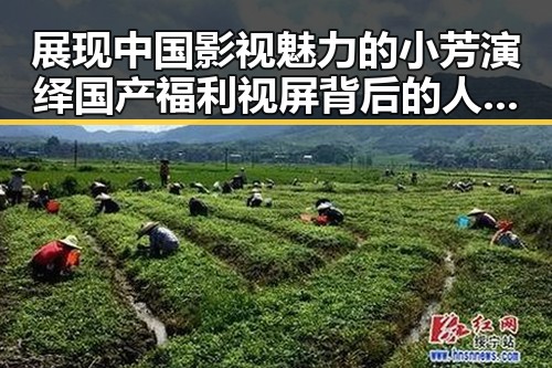 展现中国影视魅力的小芳演绎国产福利视屏背后的人性变化