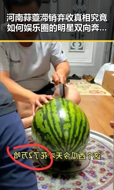 河南蒜薹滞销弃收真相究竟如何娱乐圈的明星双向奔赴故事引发关注